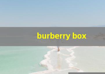 burberry box